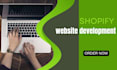 design a professional shopify store