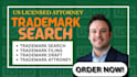 conduct a comprehensive trademark search and clearance search