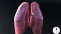 do 3d medical explainer video, 3d medical animation