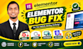 fix elementor bugs, errors, loading and responsive issues
