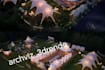 create 3d rendering for gas station, campground and landscape