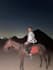 be your private tour guide in egypt