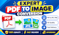 convert PDF to jpg png