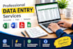do professional data entry, excel and web search