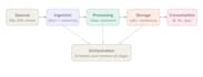 do complete data engineer and dot net projects