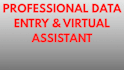 do data entry virtual assistant and data verification