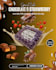 do professional canva design and capcut video editing