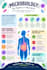 design scientific posters and infographics for research
