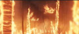 do vfx fire explosion effects, horror effect, compositing  effects, smoke effect