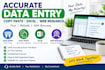 do accurate data entry, copy paste, excel and web research