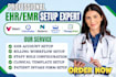 setup valant ehr chirofusion noterro practice fusion therapynotes ehr counsol
