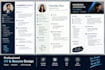 create a professional CV and resume
