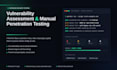 do vulnerability assessement and manual penetration testing