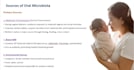 make basic ppt presentation
