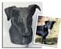 create a print ready 3d animal portrait digital file