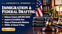 draft asylum application and persuasive credible fear declaration as US lawyer