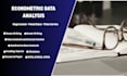 provide econometric analysis, statistical modeling, and research support