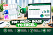 convert PDF word and images to excel