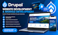 do drupal website development and module development