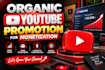 do organic youtube promotion for monetization