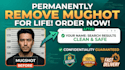remove mugshots, negative article, google search, news, personal information