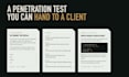 do penetration testing of your website and web application with a full report