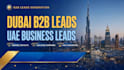 provide b2b dubai leads, uae leads, linkedin lead generation