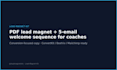 create a lead magnet PDF and 5 email welcome sequence for coaches