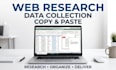 do web research, data collection and copy paste in excel
