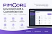 develop customize and integrate pimcore pim dam cms solutions