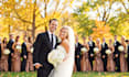 professionally edit cinematic wedding films ,teasers and highlights