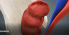 create realistic 3d medical animation