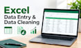 do ms excel data entry data cleaning and data management