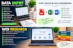 do accurate telugu english data entry, copy paste, web research