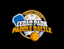 create fantastic and gorgeous pickleball logo design