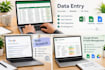 ido professional data entry and web research