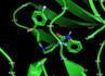 do molecular docking and docking score analysis