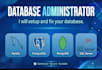 develop sql server database and maintain the database