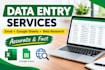 do accurate data entry,web research and exel data processing
