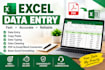 do excel data entry and data cleaning