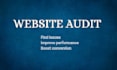 do audit website professionaly