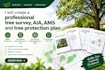 create a professional tree survey aia ams and tree protection plan