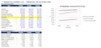 perform financial ratio analysis and interpretation
