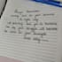 write anything in clear and neat print handwriting