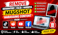 help report defamatory, false, harmful, and harassing online content