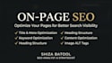 do a professional SEO audit