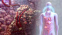 3d moa animation pharmaceutical biotech medical explainer video