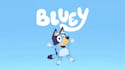 create a personalised bluey birthday video message