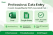 do accurate data entry in excel and google sheets