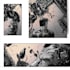 do comic pages illustration comic book page nsfw